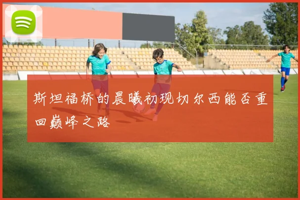 斯坦福桥的晨曦初现切尔西能否重回巅峰之路